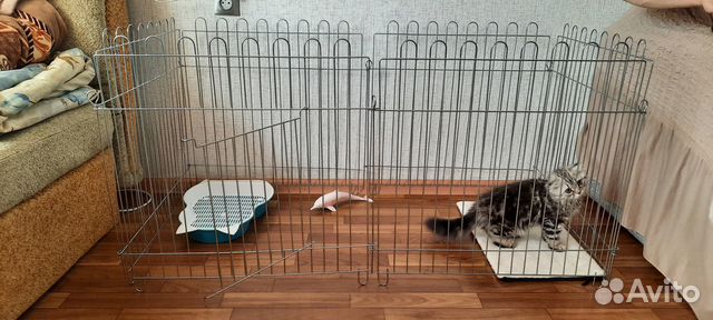 Вольер для животных