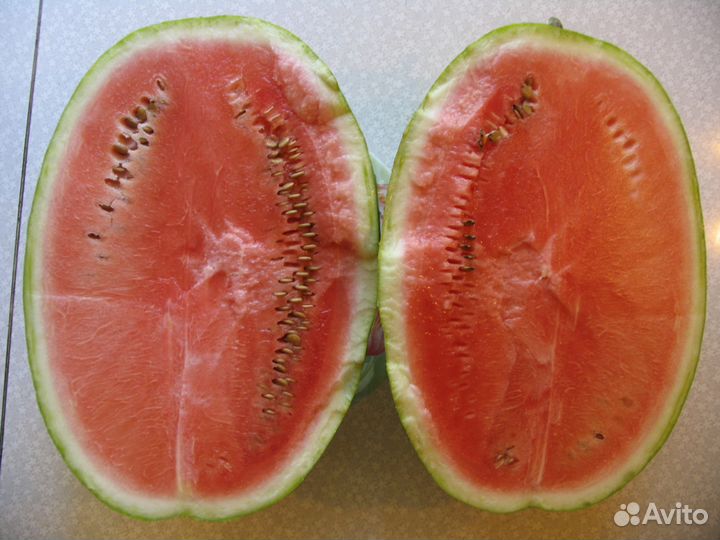 Семена Арбузов +(Подвои для арбузов)