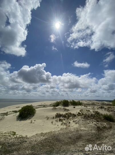 Гид экскурсовод
