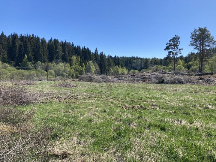 Участок 30 сот. (ИЖС)