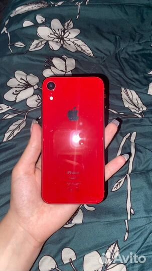 iPhone xr