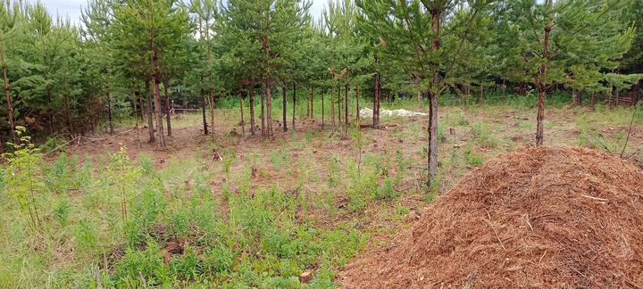 Участок 6 сот. (ИЖС)