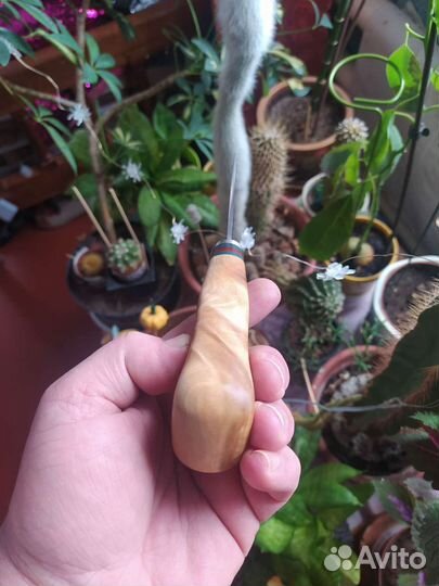 Маленький нож