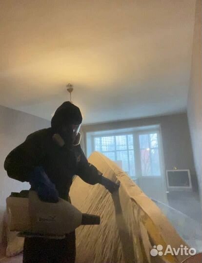 Уничтожение тараканов и клопов Дезинфекция