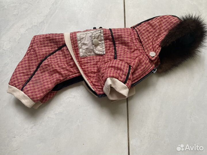 Костюм для собаки