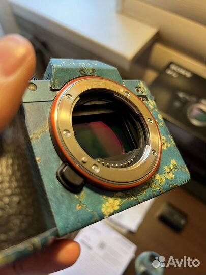 Sony A7III+Sony FE 28-70 3.5-5.6+Клетка