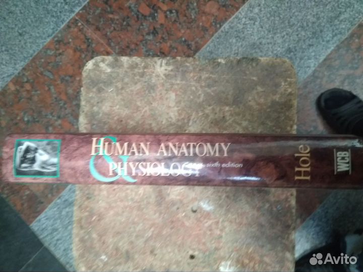 Книга Анатомия и физиология человека