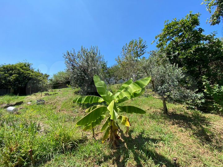 Участок 25 сот. (ИЖС)