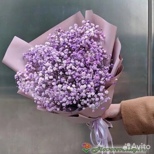Букет из фиолетовой гипсофилы