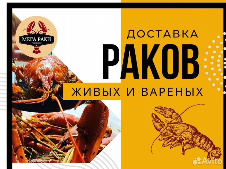 Живые раки. Вкусно сварим и доставим