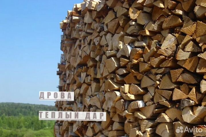 Дрова