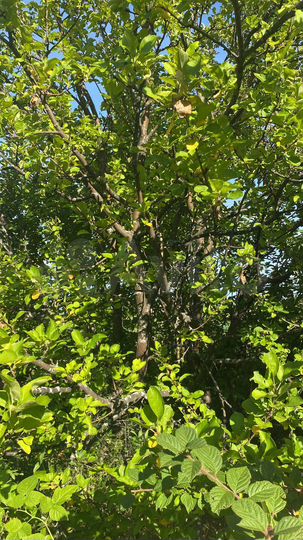 Дом 146 м² на участке 18 сот.