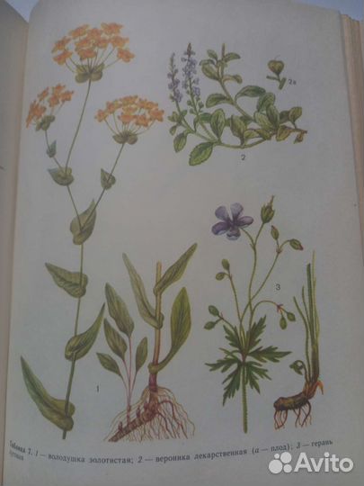 Книги о лекарственных растениях