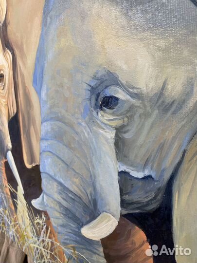 Картина маслом на холсте Слоны на закате