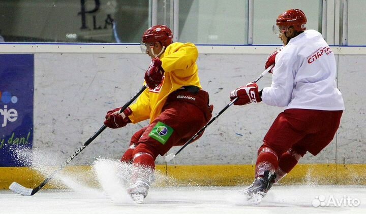 Тренировочный свитер Спартак