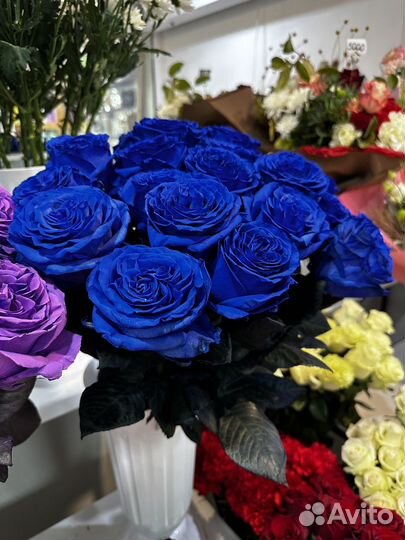 Синяя Роза крашеная Роза