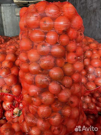 Лук репчатый