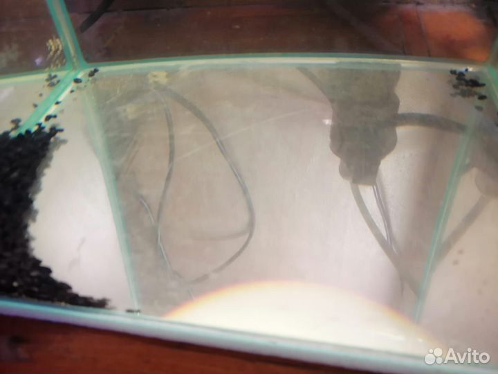 Аквариум акваэль 30 литров