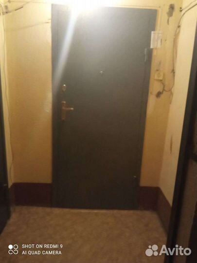 Дверь входная железная