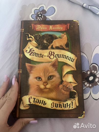 Коты воители стань диким