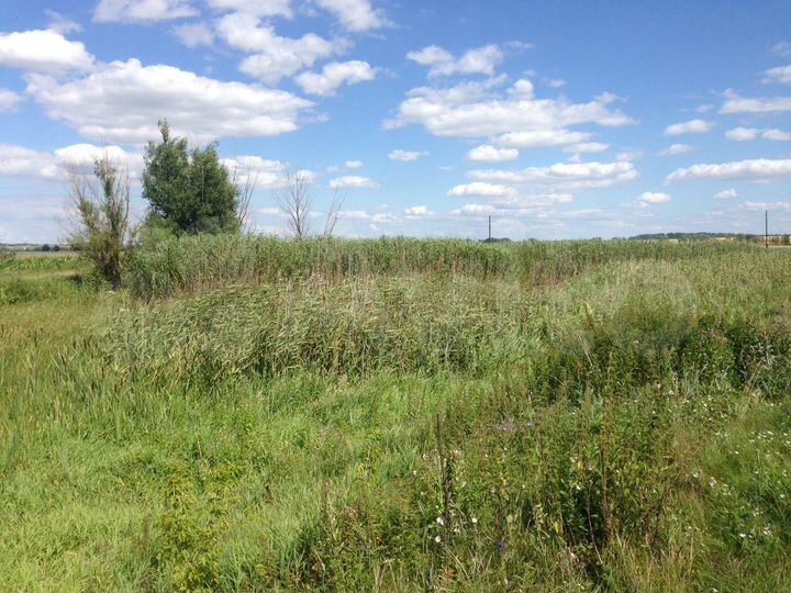 Участок 15 сот. (ИЖС)