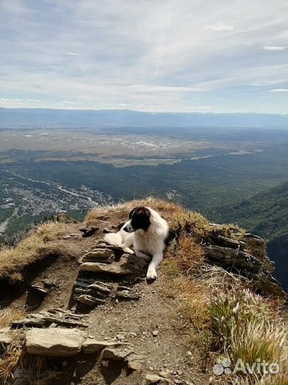 6 дней на Байкальском море и Восточных Саянах