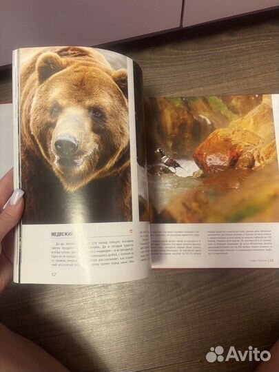 Книга 7 чудес России