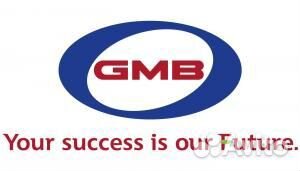 Помпа охлаждающей жидкости gmb