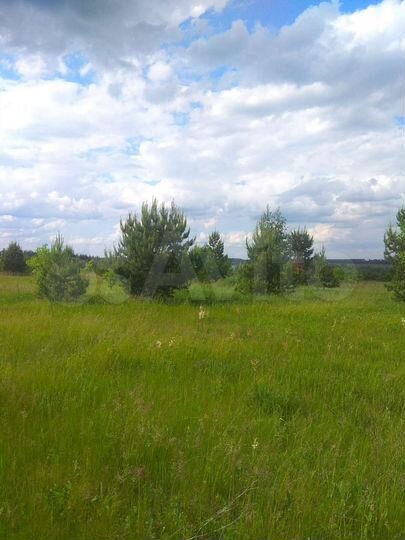 Участок 15 сот. (СНТ, ДНП)