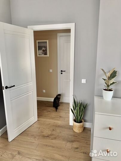 Двери межкомнатные белые