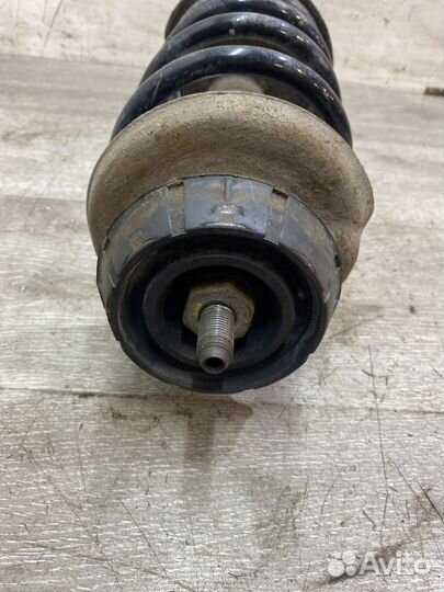 Амортизатор передний правый Renault Logan