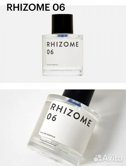 Rhizome 06 100 ml