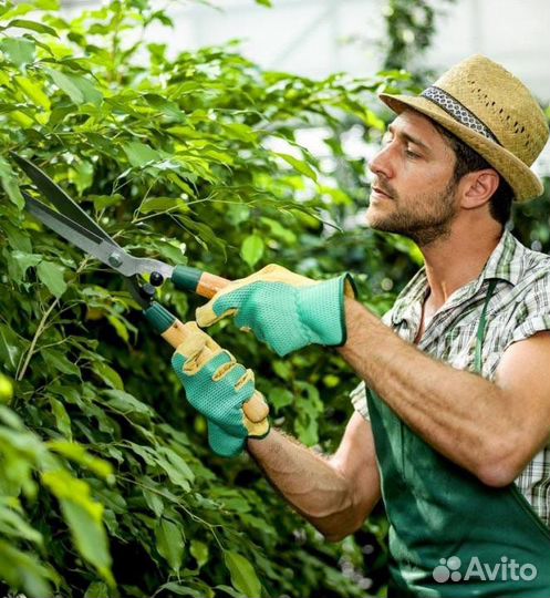 Подбор персонала для дома