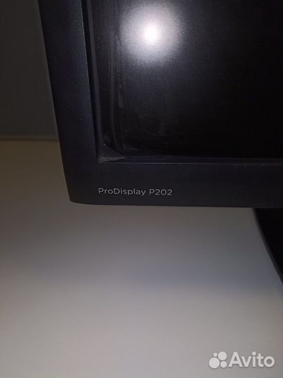 Монитор hp ProDisplay P202