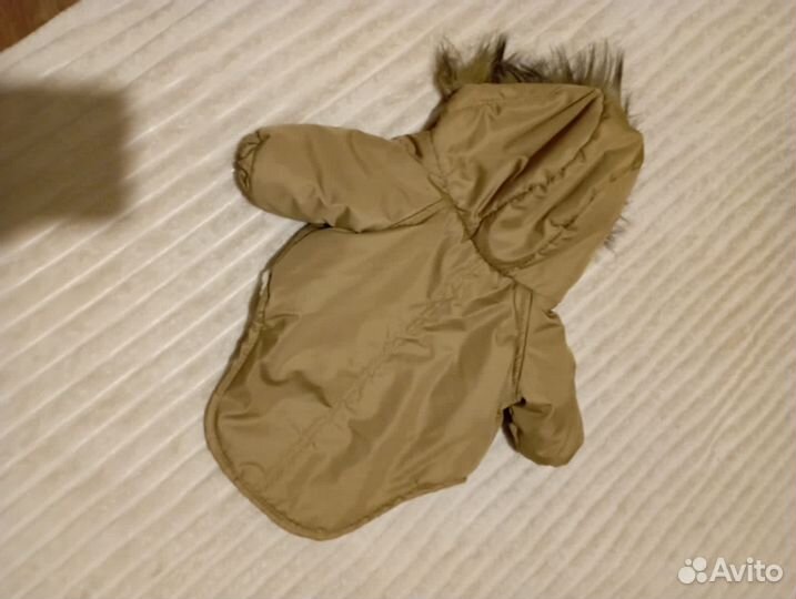 Одежда для собак