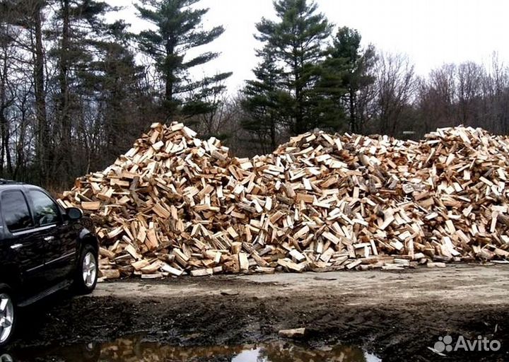 Дрова для камина