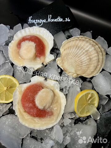 Гребешок на створке