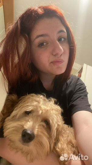 Няня для ребенка работа