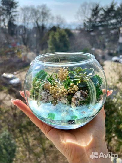 Флорариум 