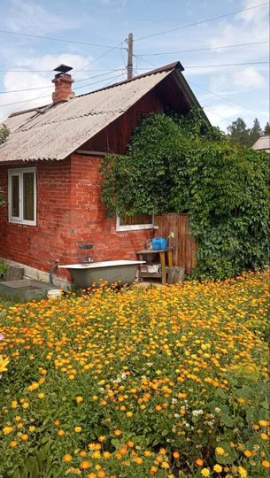 Дом 30 м² на участке 4,5 сот.