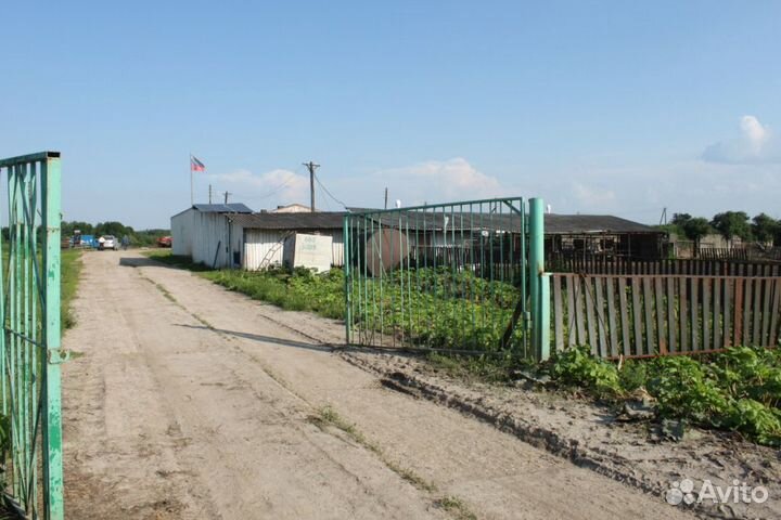 Фермерское хозяйство