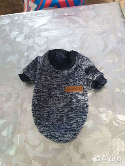 Одежда для маленьких собак