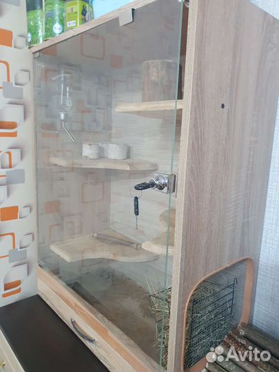 Витрина для шиншилл