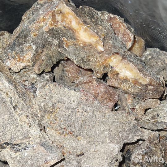 Смола (живица)