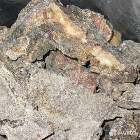 Смола (живица)