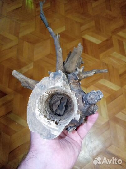 Коряга натуральная вяз