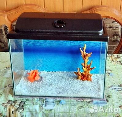 Аквариум с крышкой и освещением