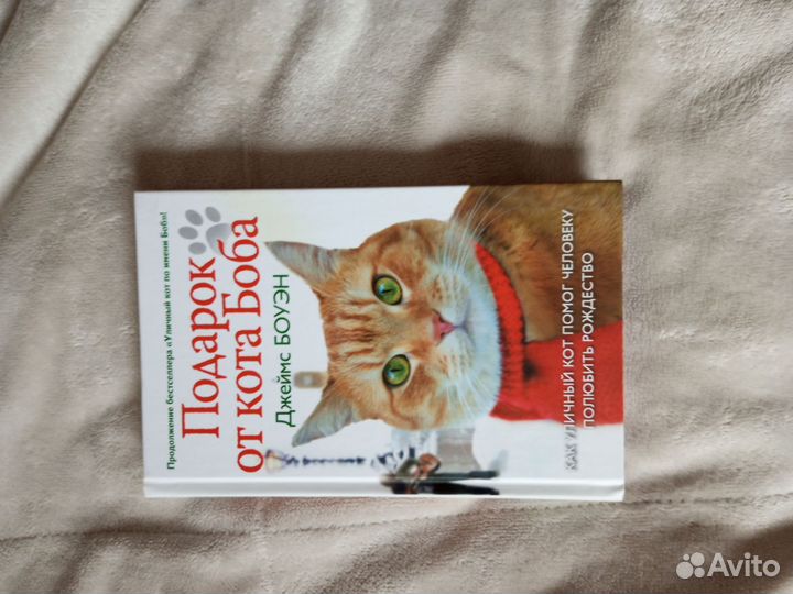Подарок для кота Боба