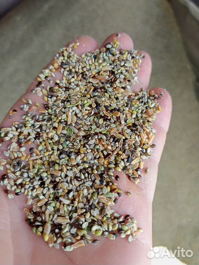 Зерно отходы 4,5