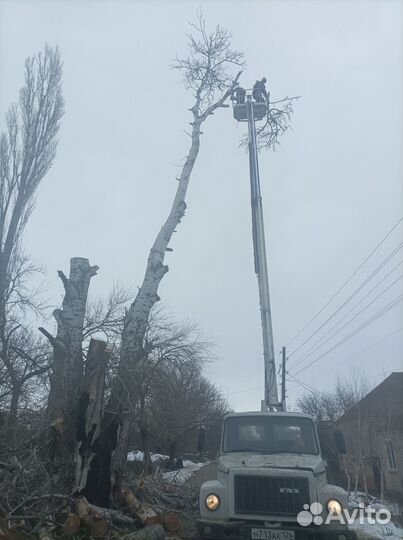 Аренда услуги автовышки
